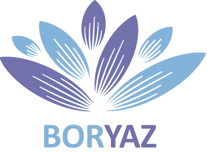 https://boryaz.com/