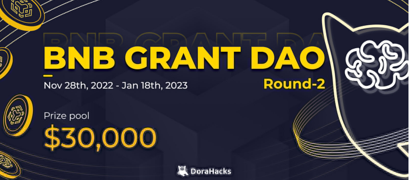 BNB Grant DAO in partnership with  @DoraHacks $30K prize