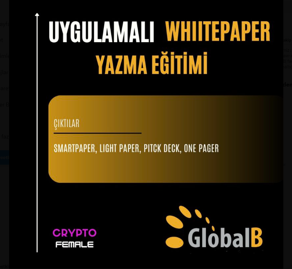  GlobalB & @cryptofemale_ İş Birliğiyle Uygulamalı WhitePaper Yazma Eğitimi