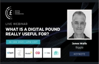 What is a digital Pound ! Really Useful For ?