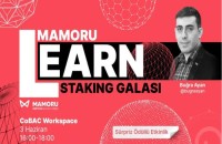Mamoru (L)earn Serisi Başlıyor: Mamoru Staking Galası! 